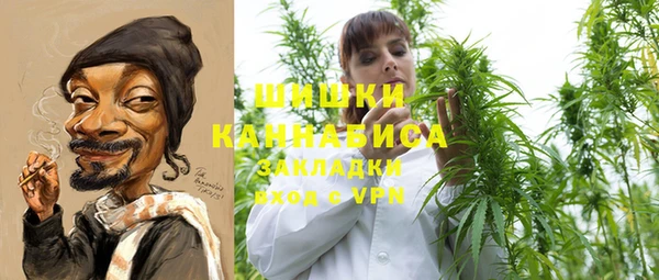 дживик Мегион