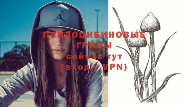 прущий лед Алексеевка